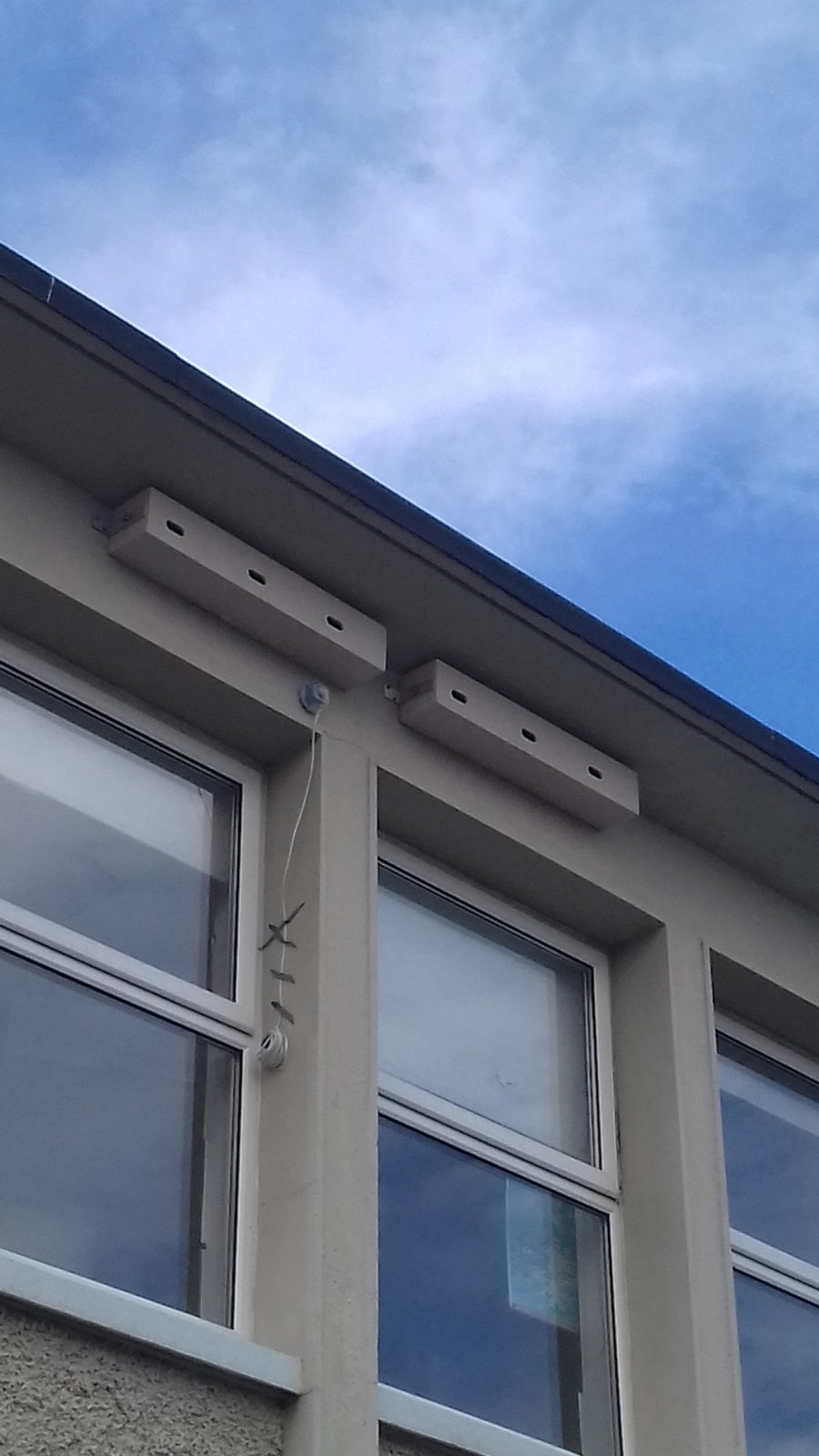 Installed nest boxes