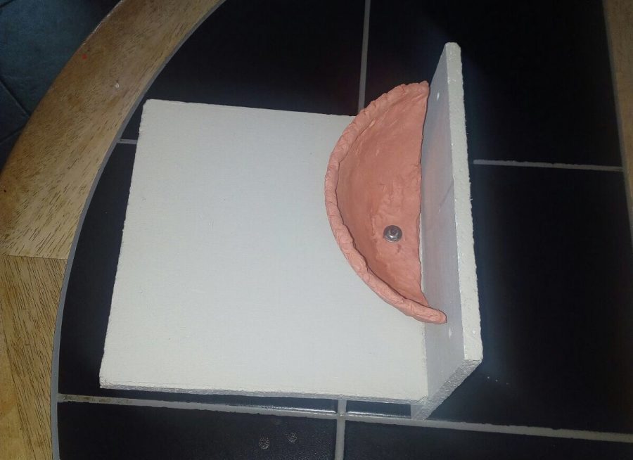 Poop catcher for swallow or house martin nests