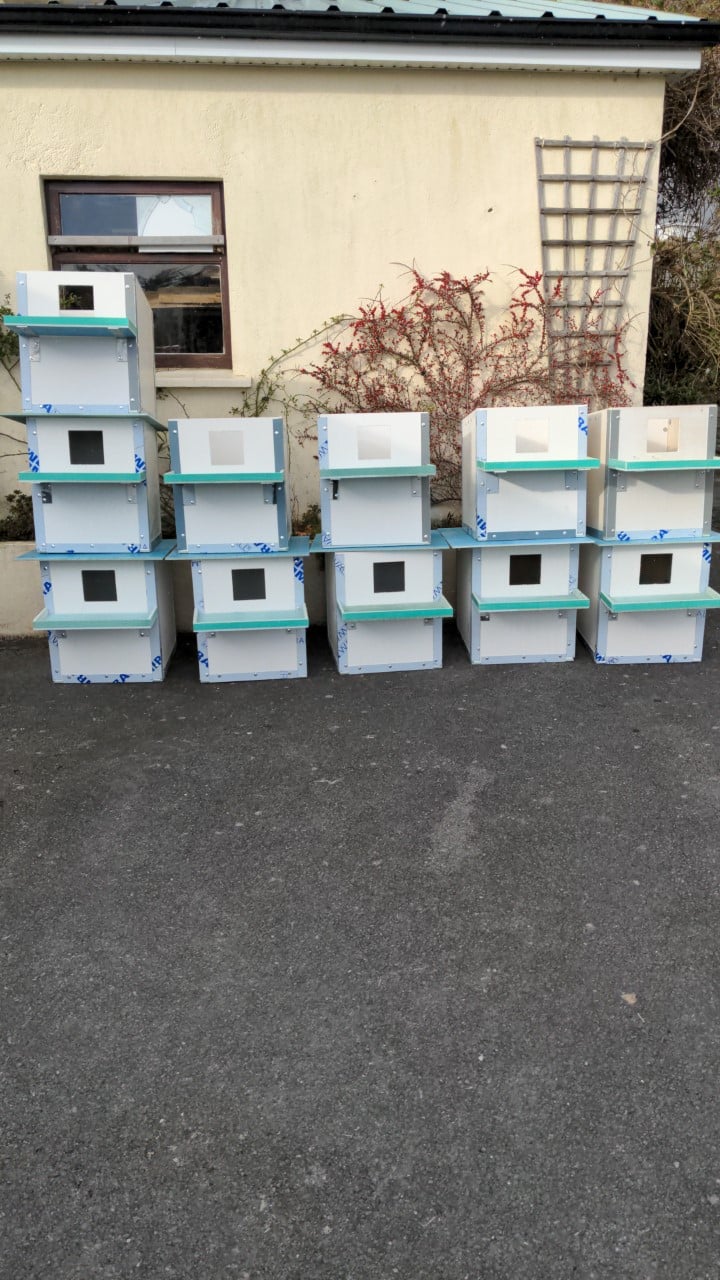Owl nest boxes ready to go to Connemara